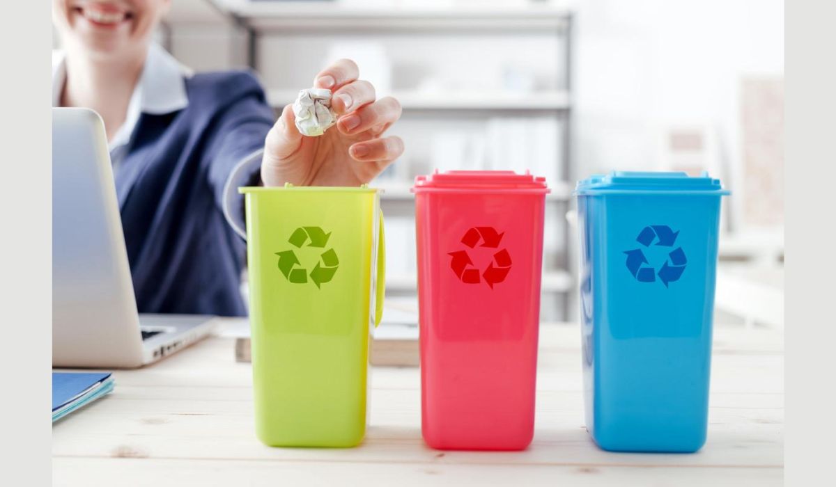 Waste Segregation Play in Effective Disposal